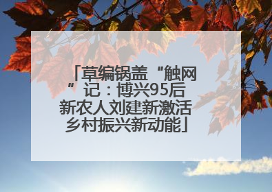 草编锅盖“触网”记：博兴95后新农人刘建新激活乡村振兴新动能