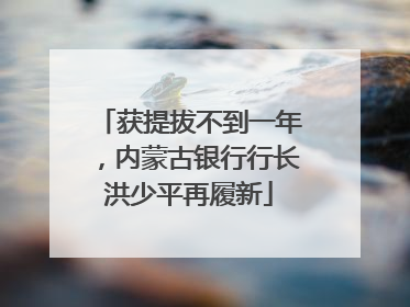 获提拔不到一年，内蒙古银行行长洪少平再履新
