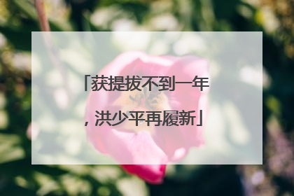 获提拔不到一年，洪少平再履新