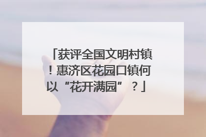 获评全国文明村镇！惠济区花园口镇何以“花开满园”？
