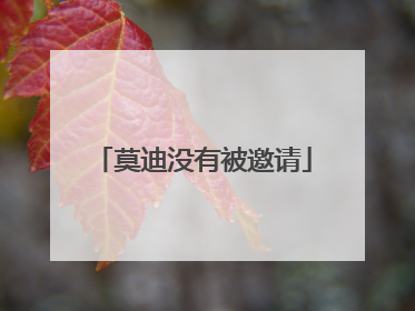 莫迪没有被邀请