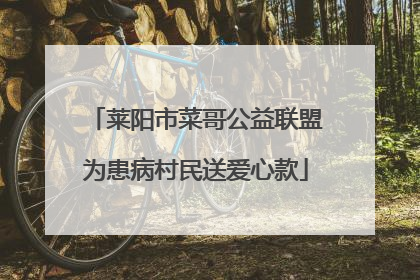 莱阳市菜哥公益联盟为患病村民送爱心款