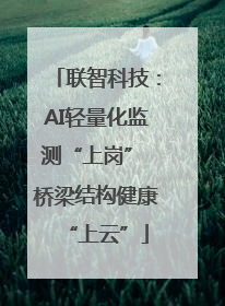 联智科技：AI轻量化监测“上岗” 桥梁结构健康“上云”