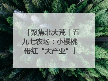 聚焦北大荒｜五九七农场：小樱桃带红“大产业”