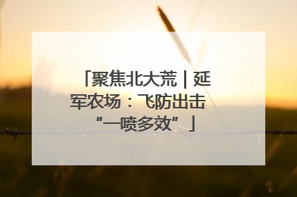 聚焦北大荒｜延军农场：飞防出击 “一喷多效”