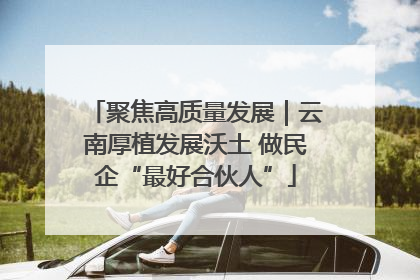 聚焦高质量发展｜云南厚植发展沃土 做民企“最好合伙人”