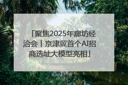 聚焦2025年廊坊经洽会丨京津冀首个AI招商选址大模型亮相