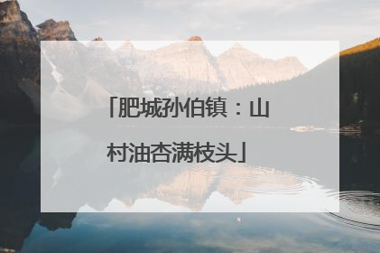 肥城孙伯镇：山村油杏满枝头