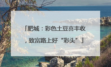 肥城：彩色土豆喜丰收，致富路上好“彩头”