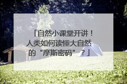 自然小课堂开讲！人类如何读懂大自然的“摩斯密码”？