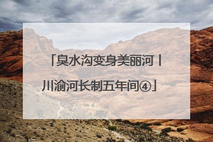 臭水沟变身美丽河丨川渝河长制五年间④