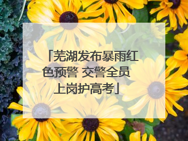芜湖发布暴雨红色预警 交警全员上岗护高考