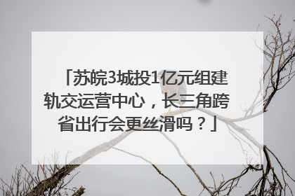 苏皖3城投1亿元组建轨交运营中心，长三角跨省出行会更丝滑吗？