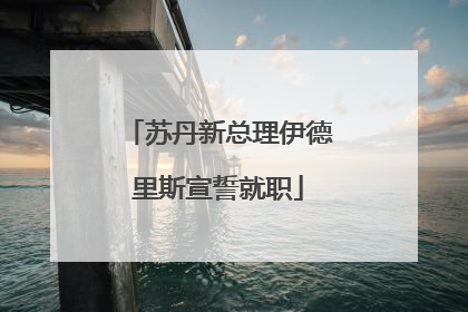 苏丹新总理伊德里斯宣誓就职