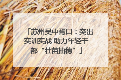 苏州吴中胥口：突出实训实战 助力年轻干部“壮苗抽穗”
