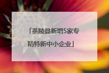 茶陵县新增5家专精特新中小企业