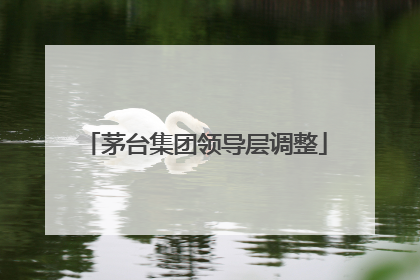 茅台集团领导层调整