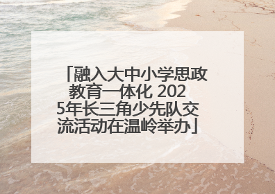 融入大中小学思政教育一体化 2025年长三角少先队交流活动在温岭举办