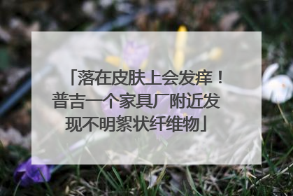 落在皮肤上会发痒！普吉一个家具厂附近发现不明絮状纤维物