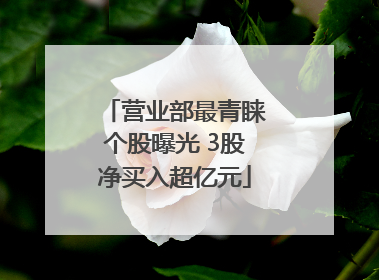 营业部最青睐个股曝光 3股净买入超亿元