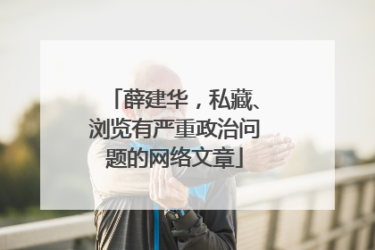 薛建华，私藏、浏览有严重政治问题的网络文章