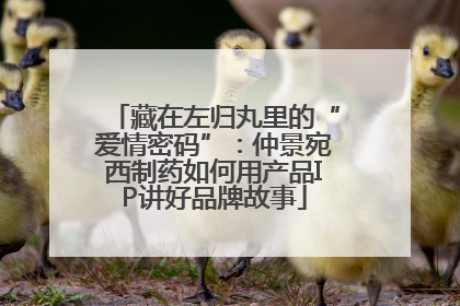 藏在左归丸里的“爱情密码”：仲景宛西制药如何用产品IP讲好品牌故事