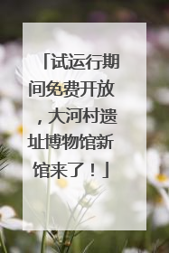 试运行期间免费开放，大河村遗址博物馆新馆来了！