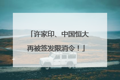 许家印、中国恒大再被签发限消令！