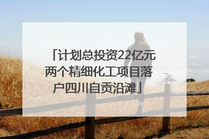 计划总投资22亿元 两个精细化工项目落户四川自贡沿滩