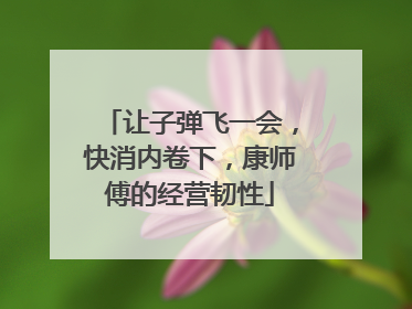 让子弹飞一会，快消内卷下，康师傅的经营韧性