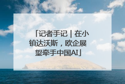 记者手记｜在小镇达沃斯，欧企展望牵手中国AI