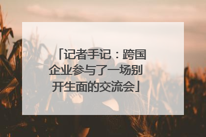 记者手记：跨国企业参与了一场别开生面的交流会