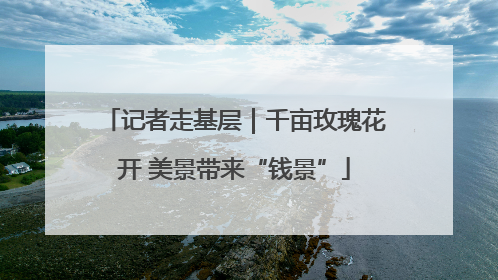 记者走基层｜千亩玫瑰花开 美景带来“钱景”