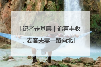 记者走基层｜追着丰收，麦客夫妻一路向北