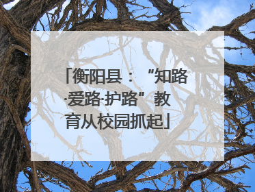 衡阳县：“知路·爱路·护路”教育从校园抓起