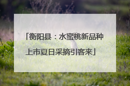 衡阳县：水蜜桃新品种上市夏日采摘引客来