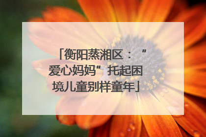 衡阳蒸湘区：“爱心妈妈”托起困境儿童别样童年