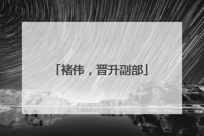 褚伟，晋升副部
