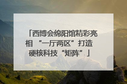 西博会绵阳馆精彩亮相 “一厅两区”打造硬核科技“矩阵”
