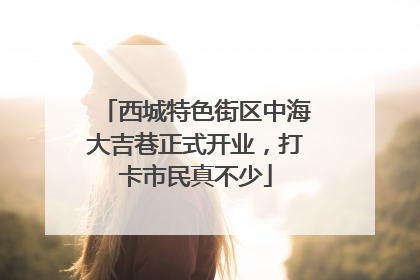 西城特色街区中海大吉巷正式开业，打卡市民真不少