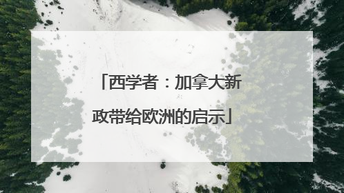 西学者：加拿大新政带给欧洲的启示