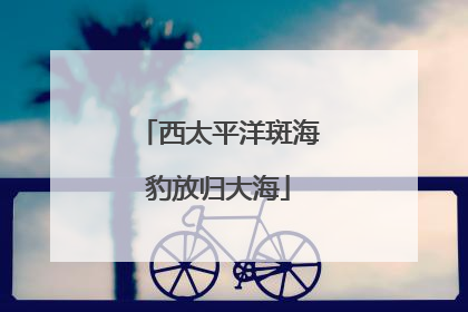 西太平洋斑海豹放归大海
