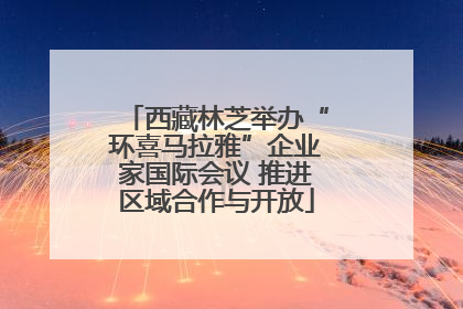 西藏林芝举办“环喜马拉雅”企业家国际会议 推进区域合作与开放