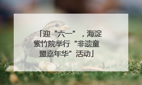 迎“六一”，海淀紫竹院举行“非遗童盟嘉年华”活动