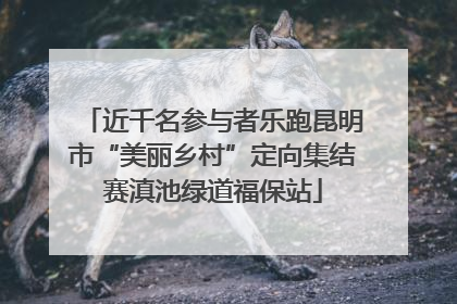 近千名参与者乐跑昆明市“美丽乡村”定向集结赛滇池绿道福保站