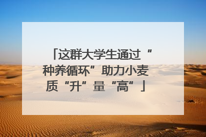 这群大学生通过“种养循环”助力小麦质“升”量“高”