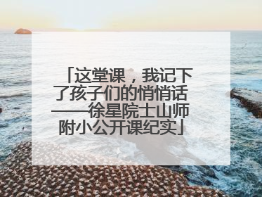 这堂课，我记下了孩子们的悄悄话——徐星院士山师附小公开课纪实