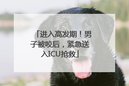 进入高发期！男子被咬后，紧急送入ICU抢救