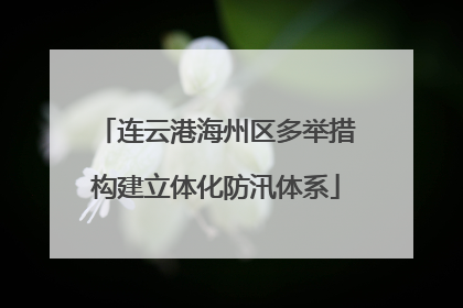 连云港海州区多举措构建立体化防汛体系