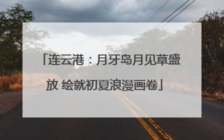 连云港：月牙岛月见草盛放 绘就初夏浪漫画卷